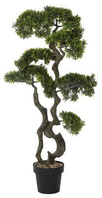 Bonsai-trees